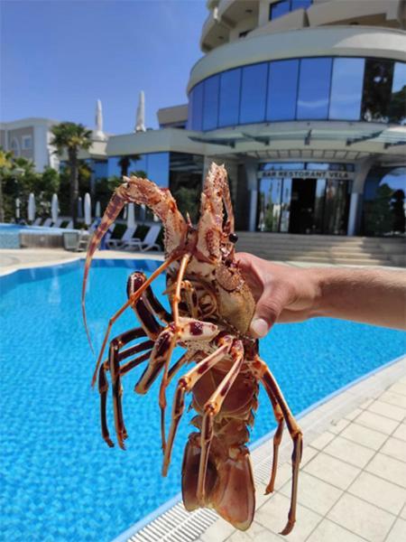 Vela Hotel Restaurant Голем Экстерьер фото